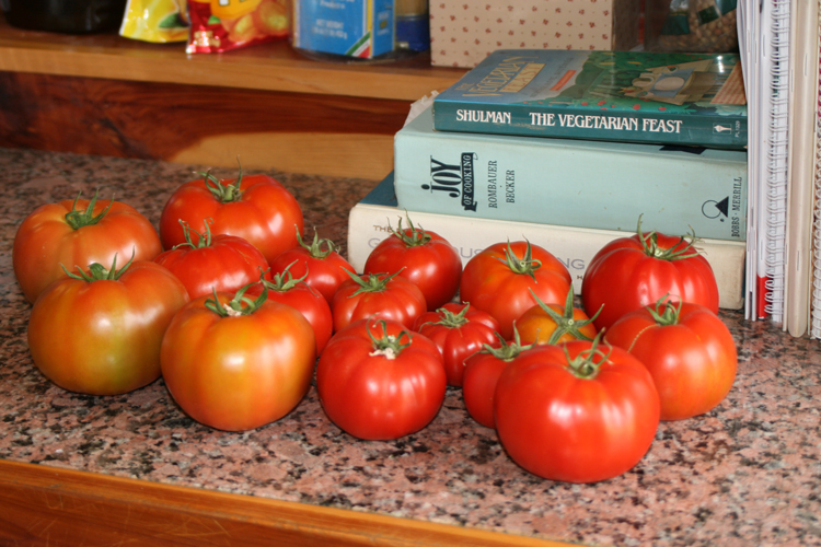 Tomatoes From Greenhouse