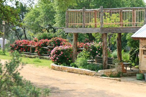 Lost Valley Gardens CSA: Latest post