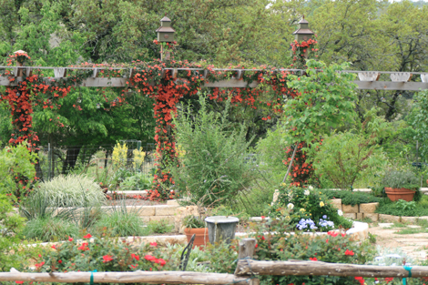 Lost Valley Gardens: Latest post