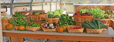 Lost Valley Gardens CSA: Latest post