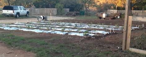 Lost Valley Gardens CSA: Latest post