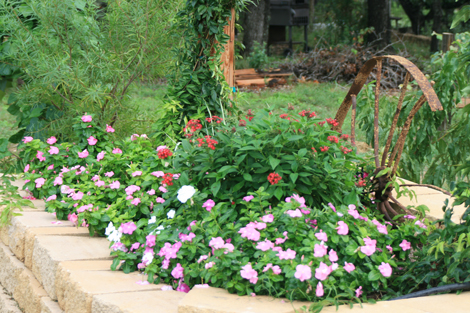 Lost Valley Gardens: Latest post