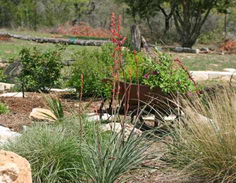 Lost Valley Gardens: Latest post