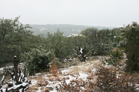 Lost Valley Gardens: Latest post