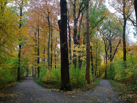 Lost Valley Gardens: Latest post