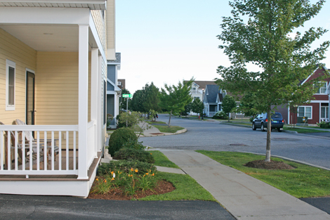 Lost Valley Gardens: Latest post