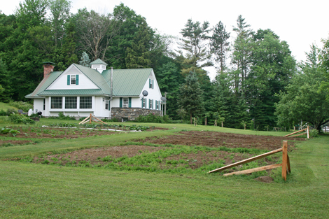 Lost Valley Gardens: Latest post